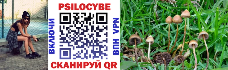 Псилоцибиновые грибы GOLDEN TEACHER  Купить где  Таштагол 